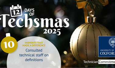 LinkedIn Christmas image day 10